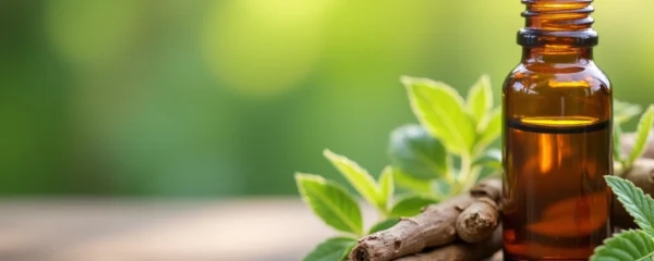 les-traitements-a-base-d-huiles-essentielles