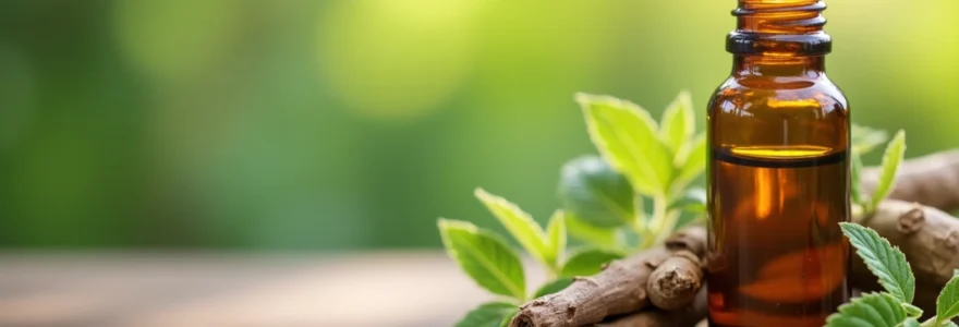 les-traitements-a-base-d-huiles-essentielles